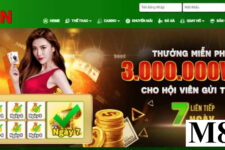 M8win – Nhà cái đánh bạc trực tuyến uy tín nhất hiện nay